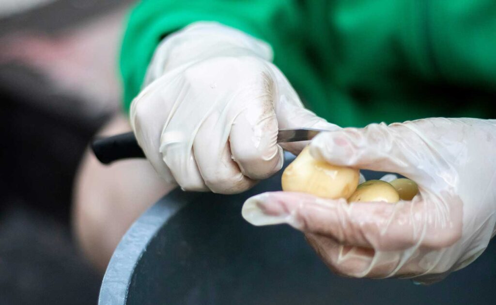Woman's hands in white gloves peel raw new potatoes, close-up
